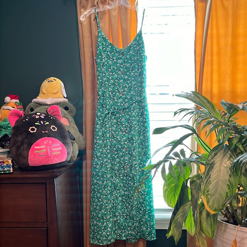 Sienna Sky Size Small (2/4) Kelly Green Dress